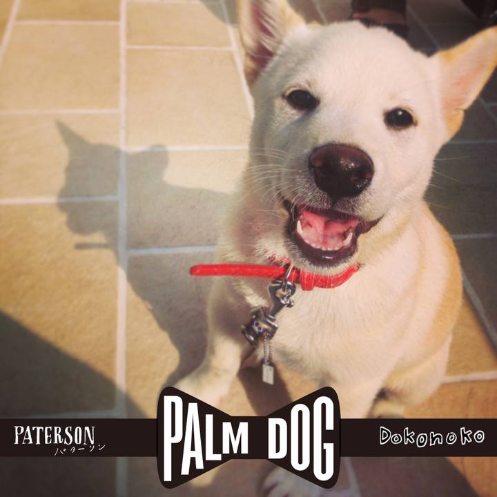 4ef60ba1 9431 4055 bdb4 e5ef544a9867