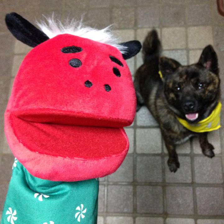 4ef62a5b 4768 4fbb 8a59 0b689dd994e7