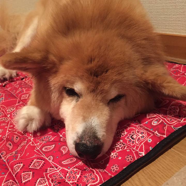 4ef6d708 69ec 493b ab15 f7ace8638098