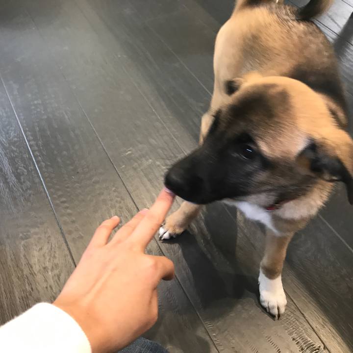 4ef6d801 1a12 4296 a3c6 36d18a4ca79b