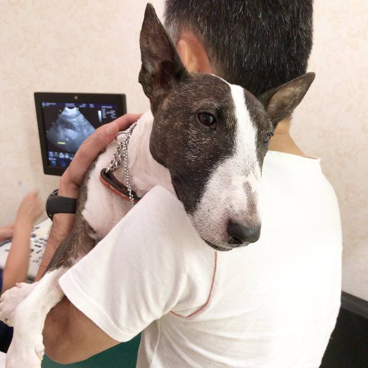 4ef7877f c45e 452f 8a92 2a1620a02609