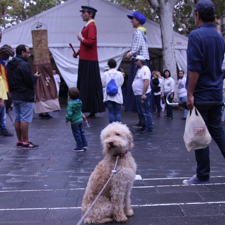 4ef7971d b44f 4f30 ac2a d933d40713d6