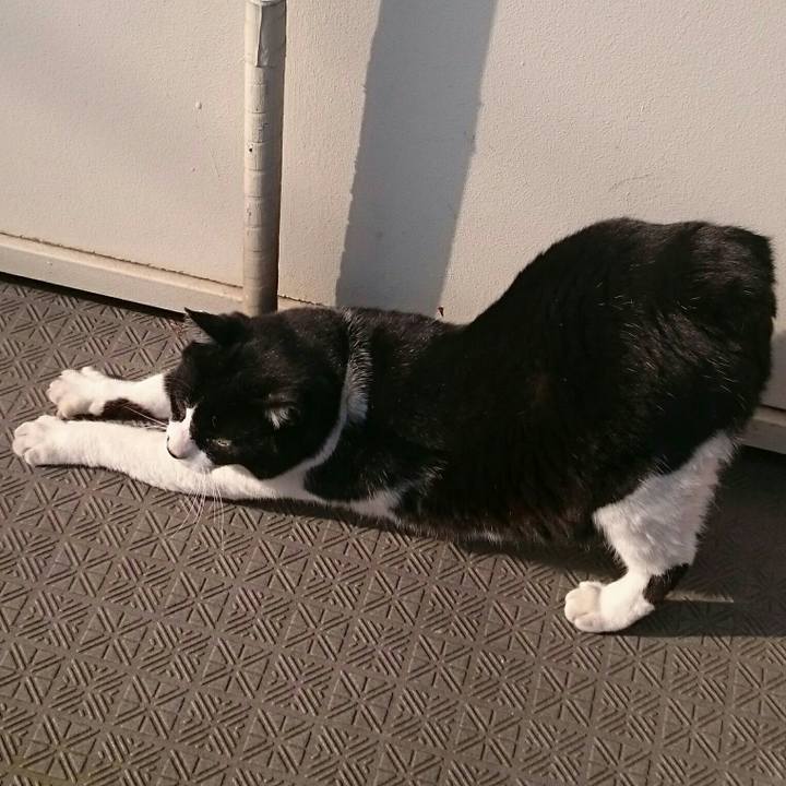 4ef7a3ab 4e9c 4ee9 8c16 893a5f7eb401