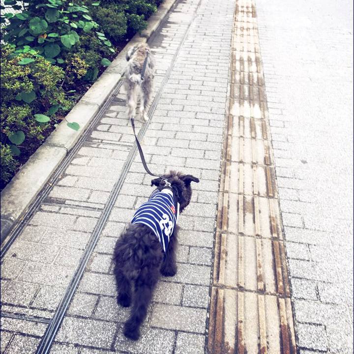 4ef7d193 af7b 4e09 8129 584b1a4096f8