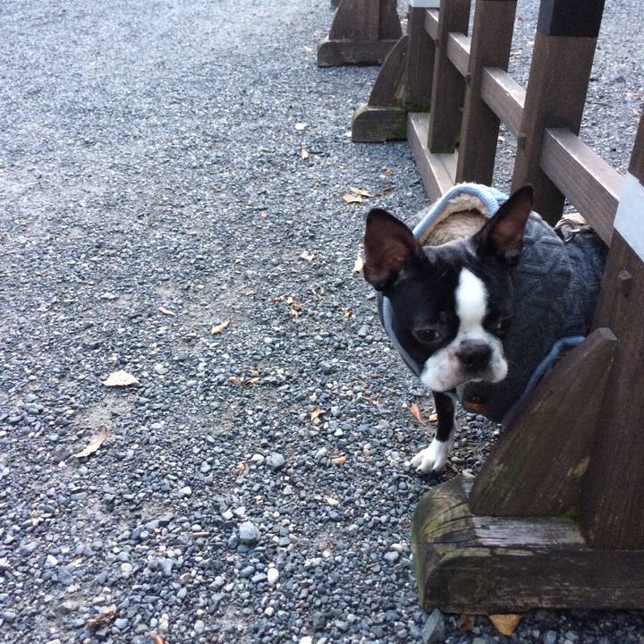 4ef80635 5666 4cbd 910a 85a0e8ccdfc8