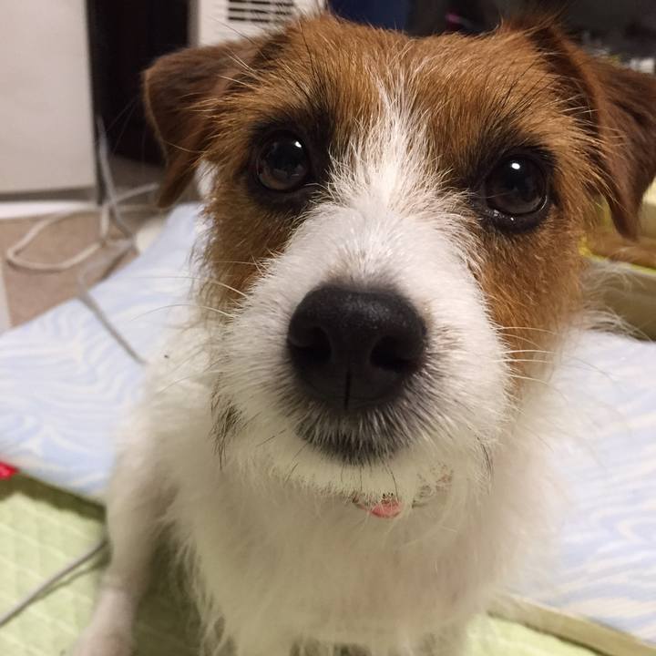 4ef81188 4475 4256 a672 d4b11aaf23c9