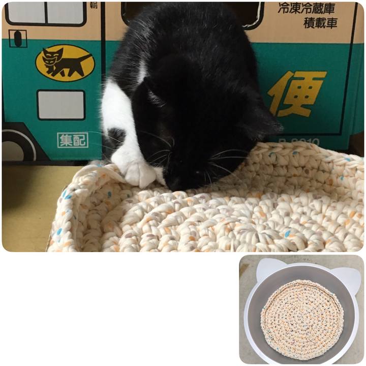 4ef83fd4 2b97 4a02 ba2f 35c968a3f2fe