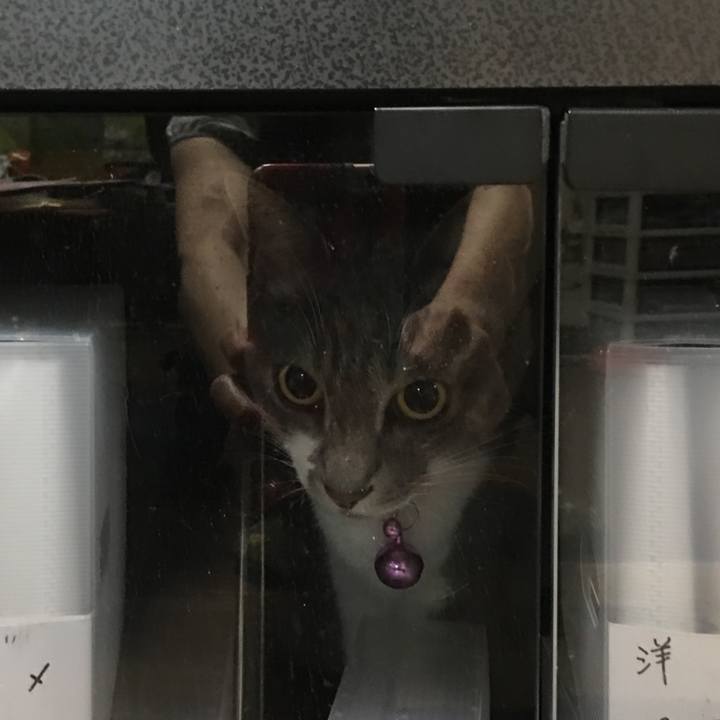 4ef9a4f0 0515 4bea 9025 4a10d6684d9b