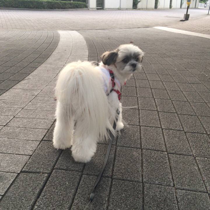 4ef9b234 3104 4b87 b33b 03982da703fe