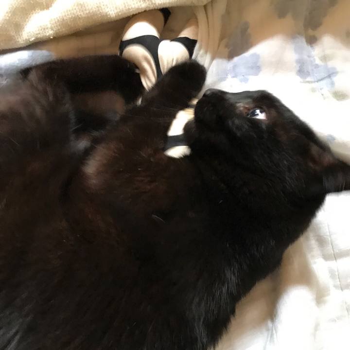 4efa0706 1c95 45b9 bec4 d6bd5bce176e