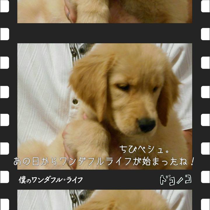 4efaa472 13be 4abe be15 9a97033a0f35