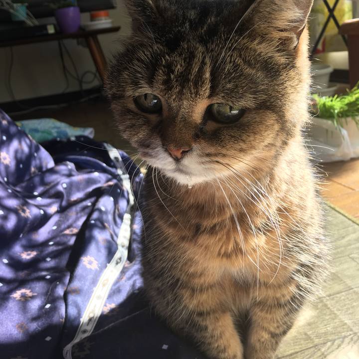 4efabc2d 345e 4093 82b6 1154319addc7