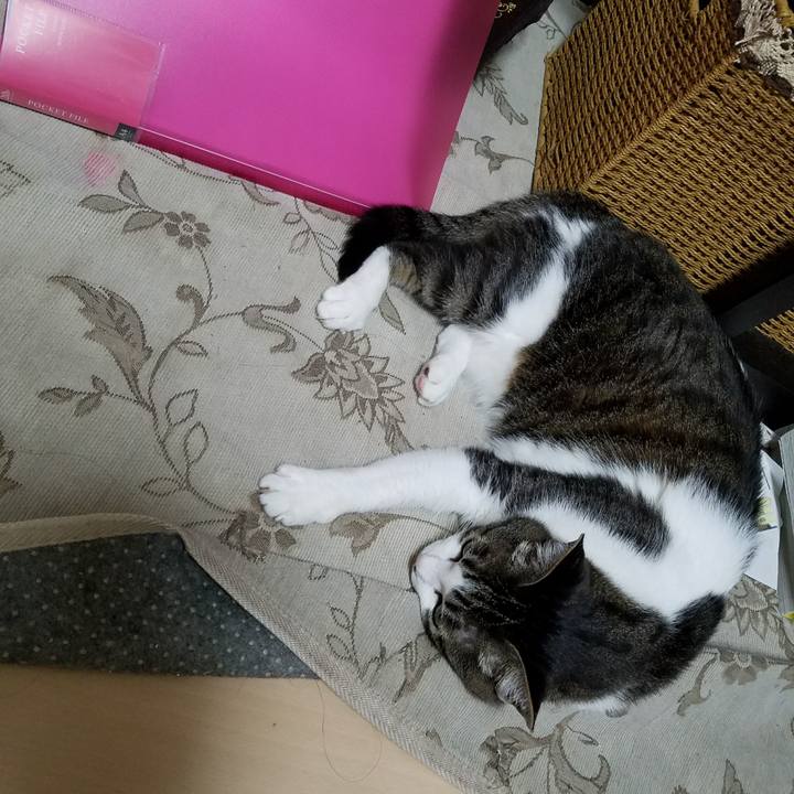 4efadb3a ebdb 4aa8 90bc 14ea9298bcdf