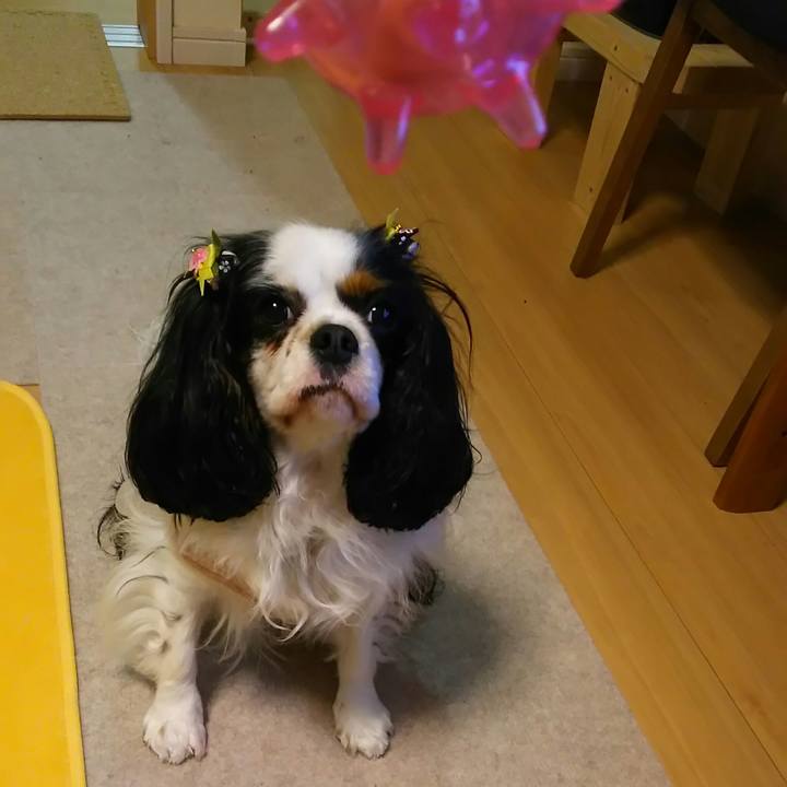 4efbf57e b6af 4162 91fc 9088a10c4f35