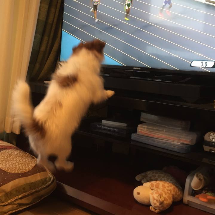 4efc5625 1ad6 40c2 ab7e e077809f27ea