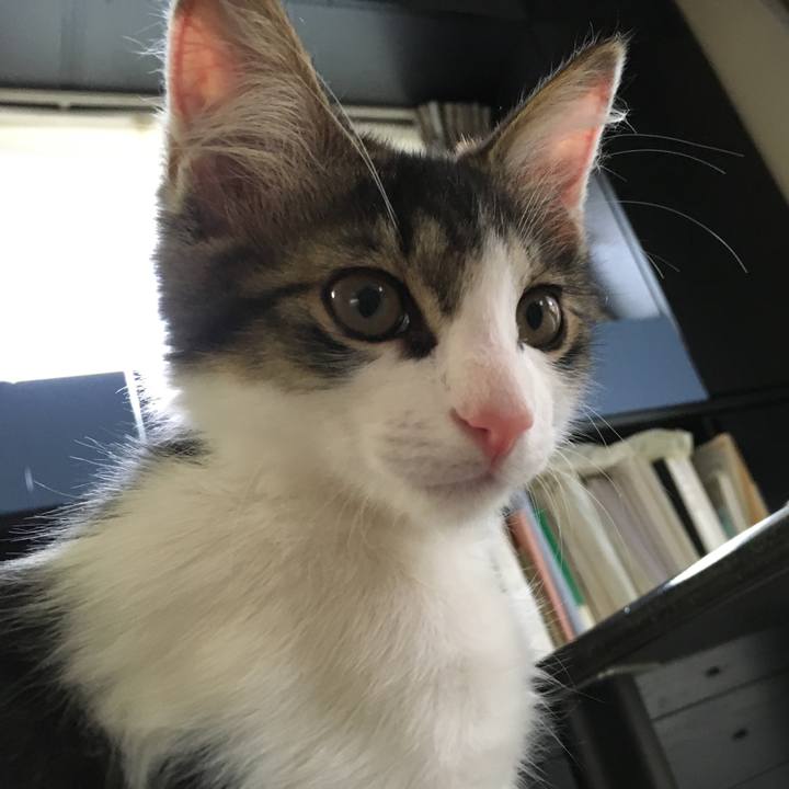 4efdc01d 034f 45b9 84f6 e83ac12873e0