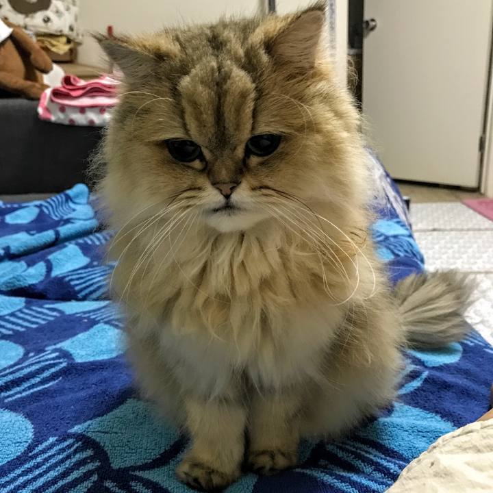 4efdedc3 6f5b 40a1 bd0f c9462fe18965