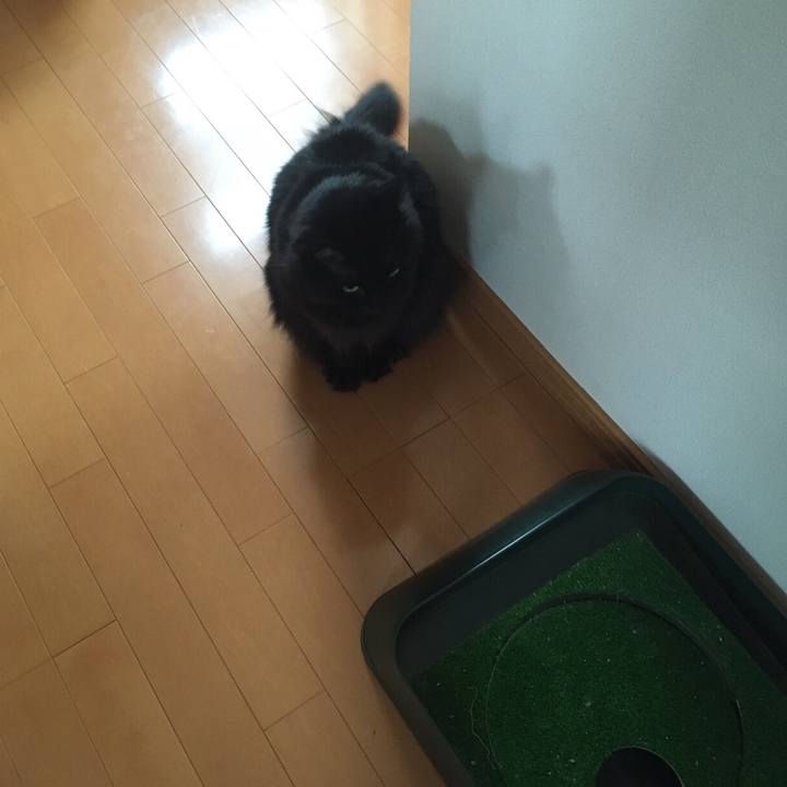 4efe17a6 4fd1 4e57 92fc 818851923c23