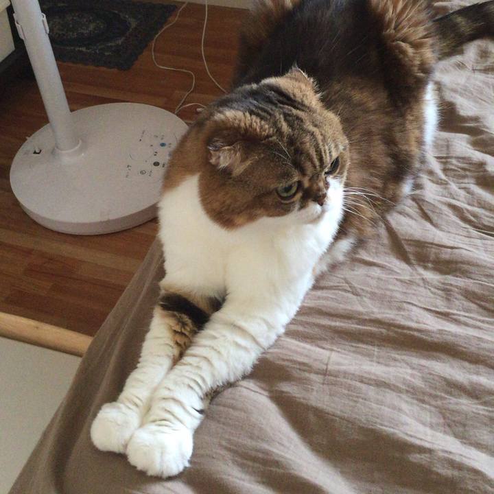 4efe2dd9 e3e4 4243 a38d 3a5da8fef6b9