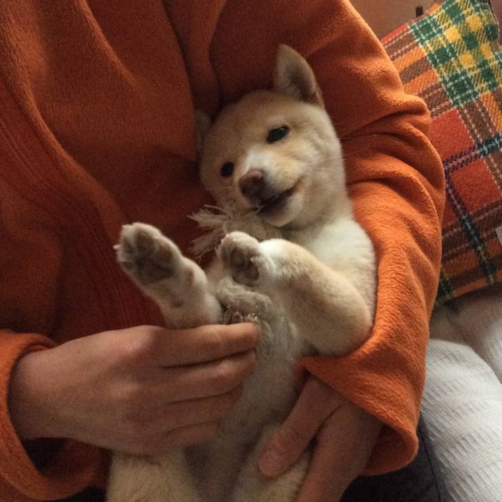 4efeb1d8 bd1d 4de9 b871 9de985f5ef90