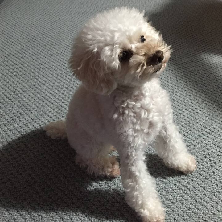 4efef8fb cd36 4ca6 8ca6 27f305cb8522