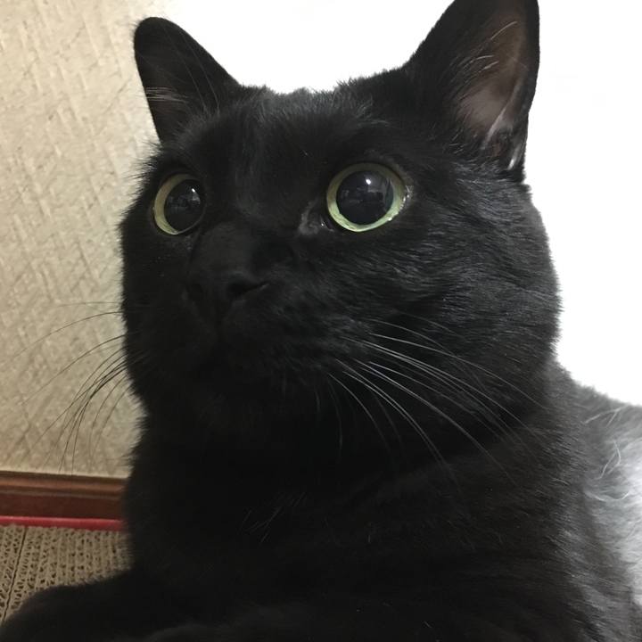 4eff0a41 d0b9 4293 9e8f d6bf5bf0e6dd