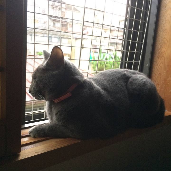 4eff1a63 d26c 4bcb 9201 263c60cb3b6f