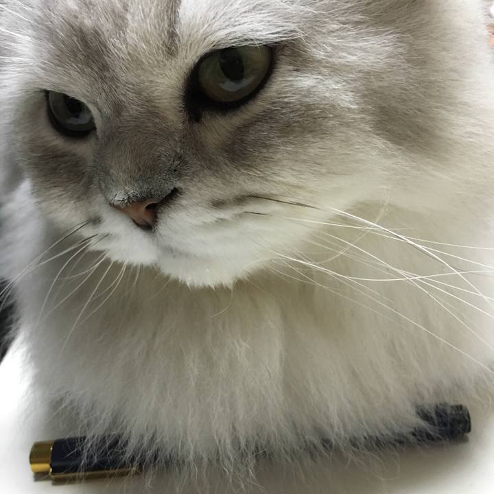 4effa528 6b1e 4db1 82f7 ef73f8c03cbf