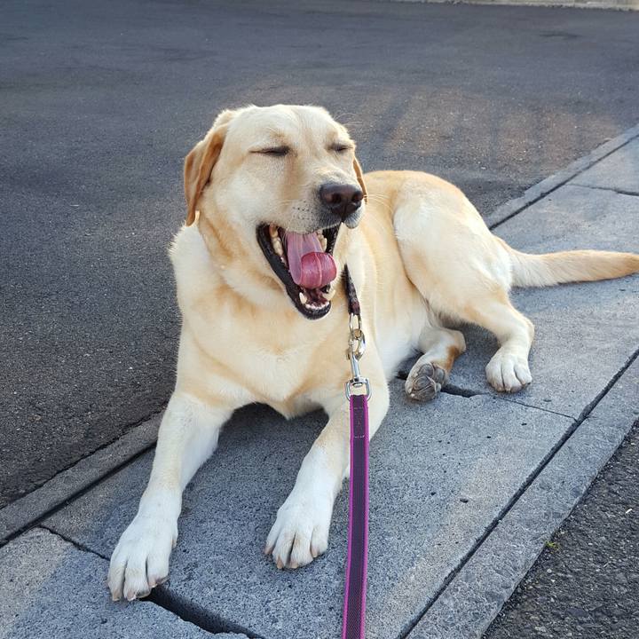 4f01e1ac c99b 4a2b 8421 b721bd0539f3