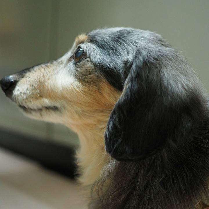 4f01e447 35b3 4d5f 9c80 2dd582f0b9b5