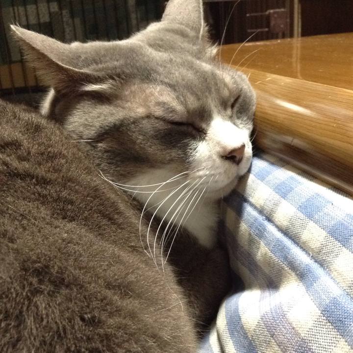 4f02145b 115f 4e42 80fd 68ed31c39b36