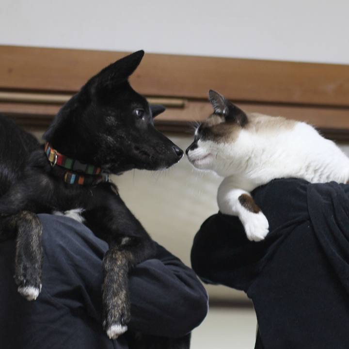 4f02cea0 10f8 44ae a6b7 8ed8261b3095