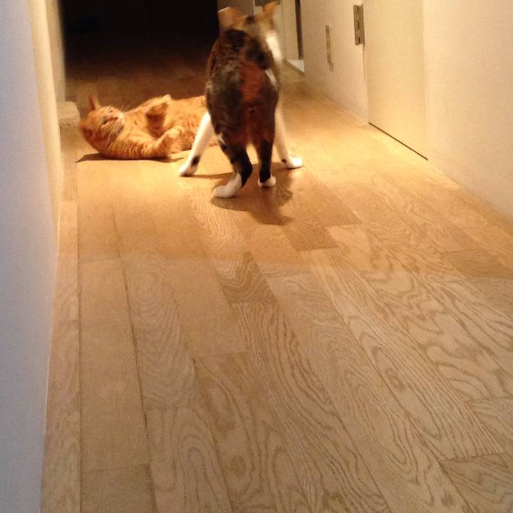 4f02e6de 1689 4b88 876b 602c2471a640