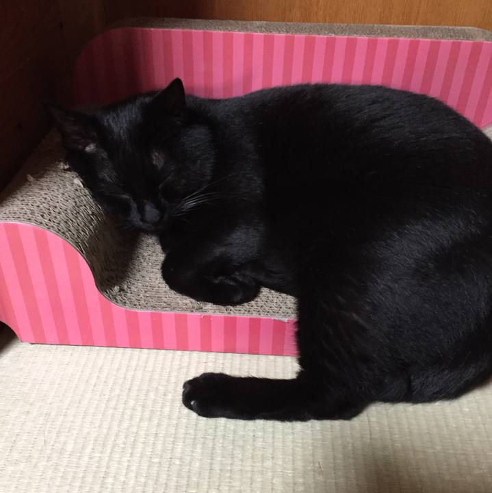 4f030ff2 b11e 40c3 9539 b0bef4045df7