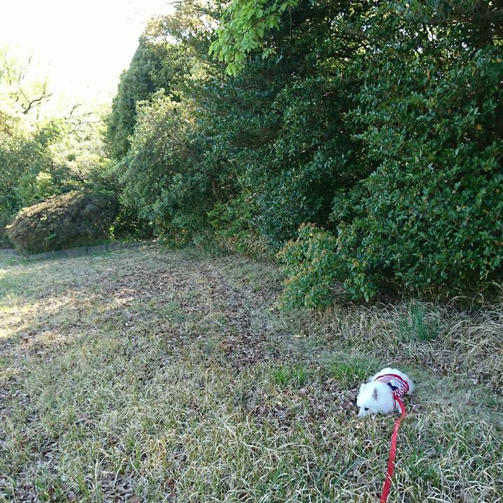 4f03679f 5760 45ef bb06 741308fbf000