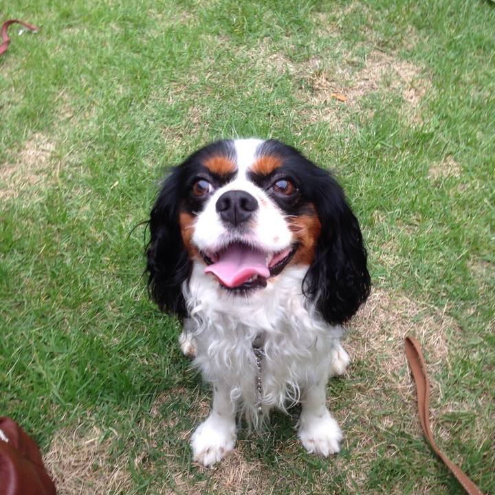 4f038327 87d5 4132 8ef8 a56dc1625e97