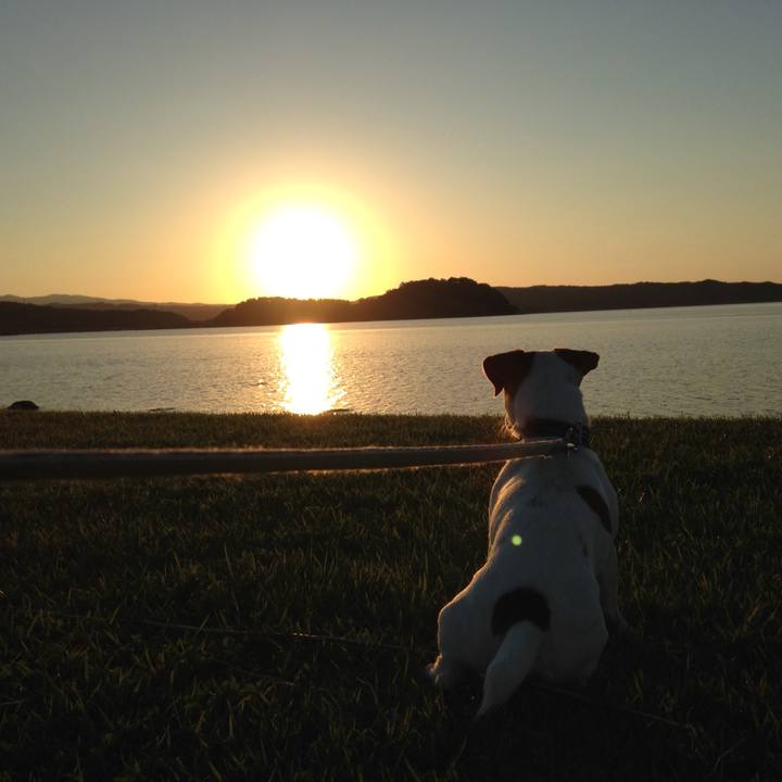 4f03f3b2 c53c 4370 911d 57918b582e7a