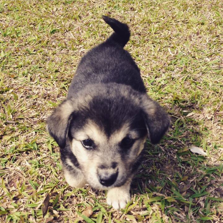 4f045f93 f2ac 486b 8174 e1e0125283ab