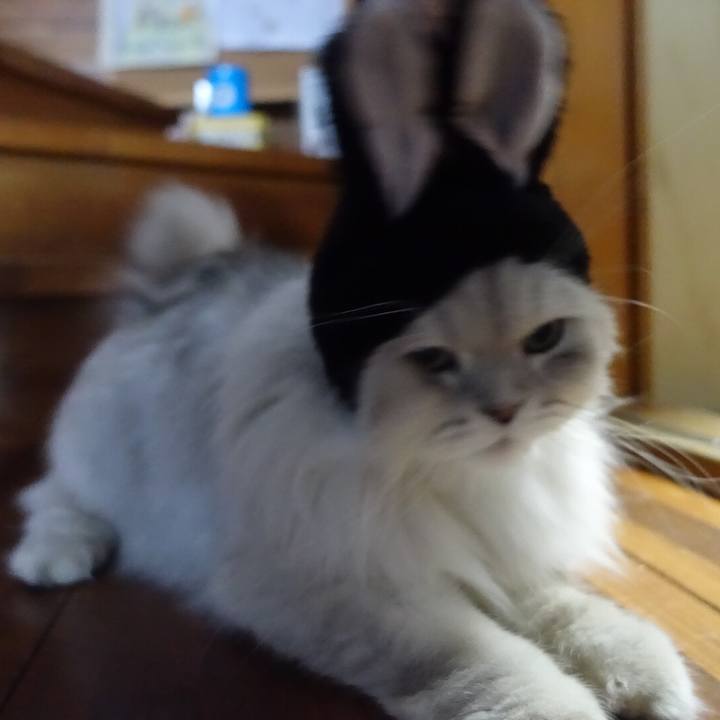 4f04df74 61aa 4556 b3ab 9475aa7f27f7