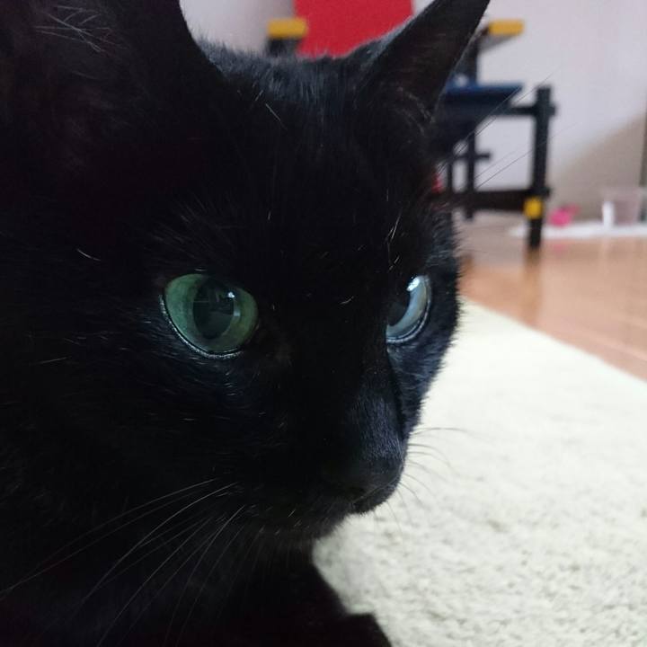 4f0601c5 168c 4cdb aff8 404f971a7de8