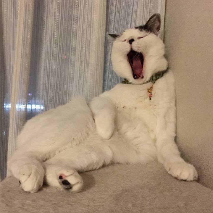 4f06135f 10dc 417c aa97 05a16ff81a80