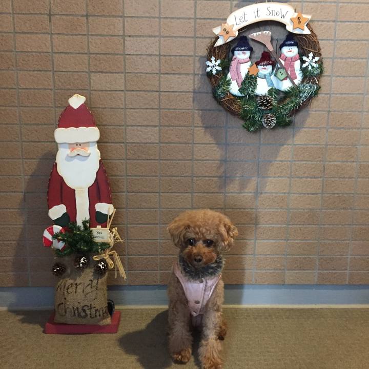 4f0619b1 7db6 40d0 9a1f c82bcf15f8d9