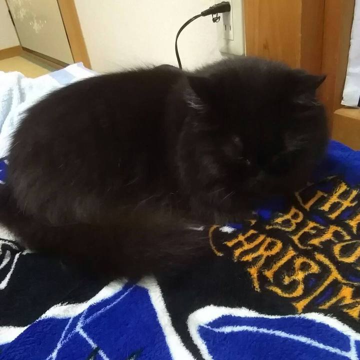 4f062c1a 8f9f 4d17 b083 2b2fa744e4fe