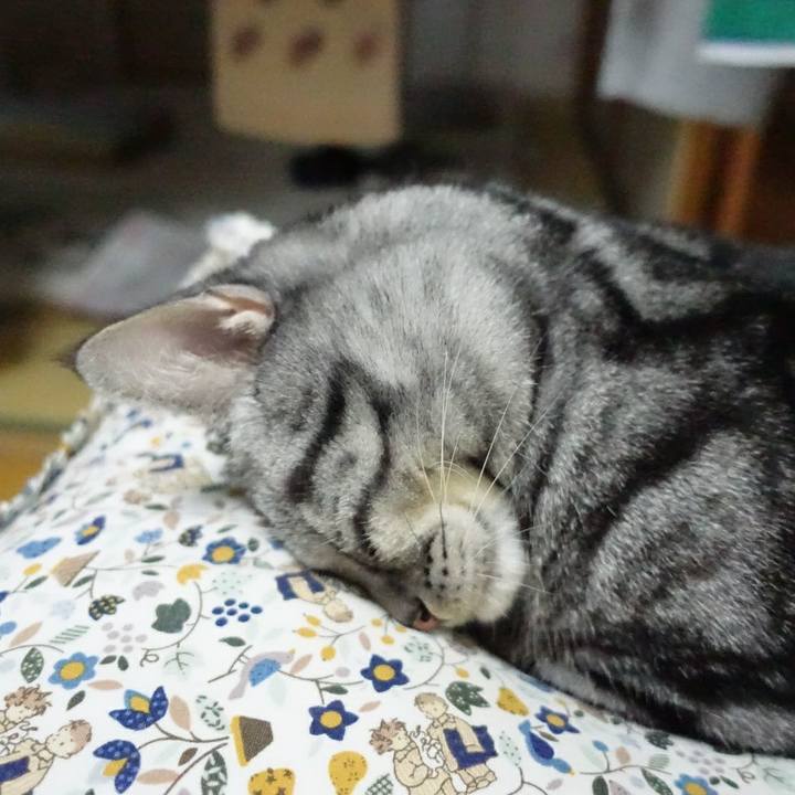 4f062e30 8d72 43d1 a6be 9f7b21ae5dfb