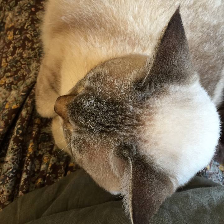 4f067143 fd0d 4ced 9107 41e4f6164494