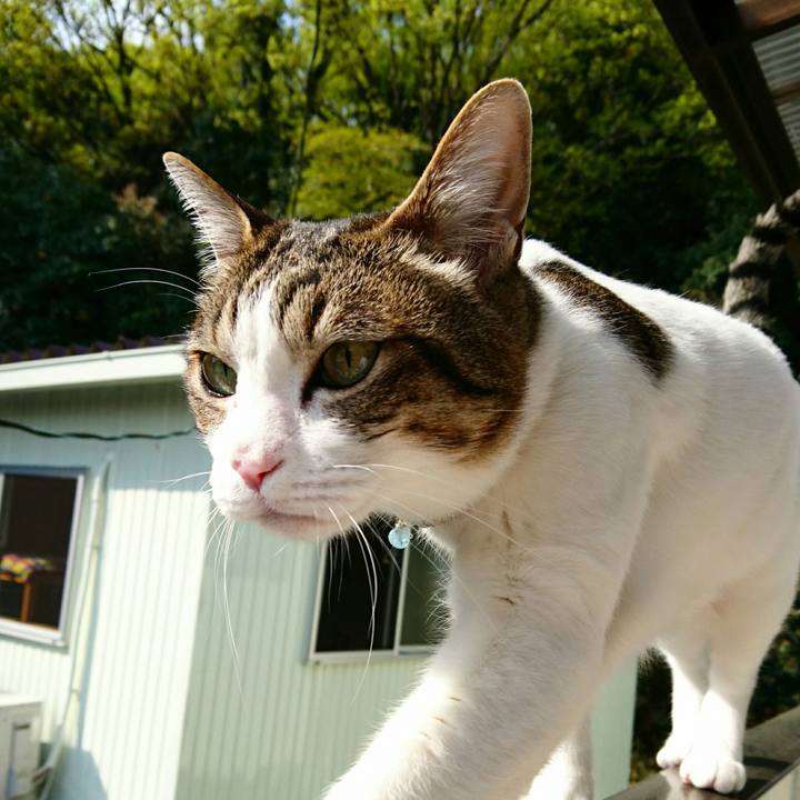 4f0768b0 31af 414d baa4 57fe7ac03cd4