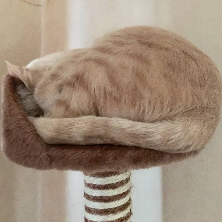 4f085206 1cbc 4a89 9b3e 954db33571d7