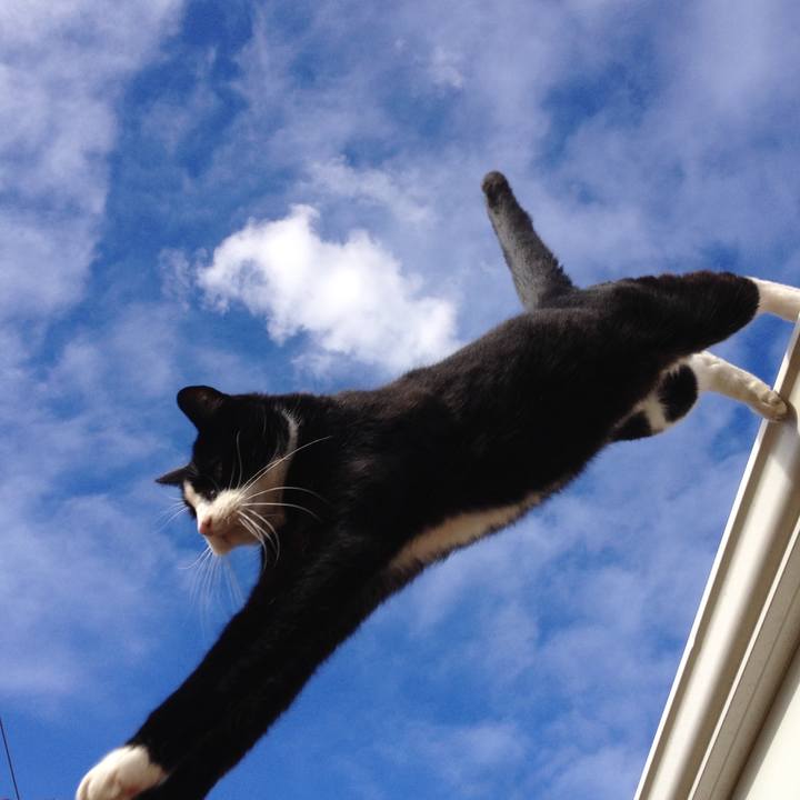 4f086fac e3e2 4932 b04e 3ba3dd2625f9