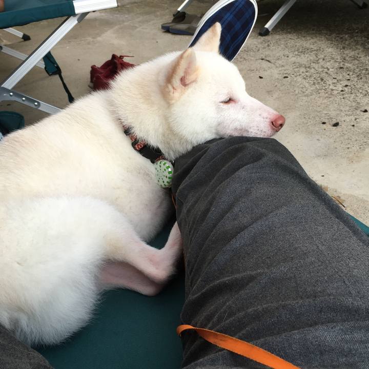 4f08d803 1a63 4c17 b075 89c4825716b3