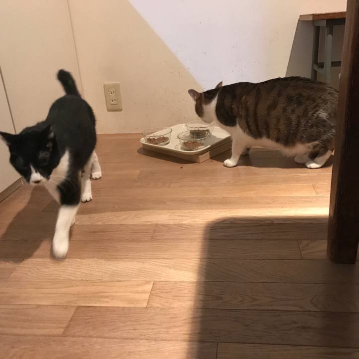 4f093acd 9de1 42b2 a4f5 7b06d9e43eed